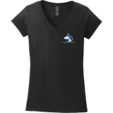 Pittsburgh Huskies Softstyle Ladies Fit V-Neck T-Shirt