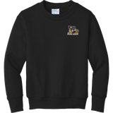 Dupage Black Bears Youth Core Fleece Crewneck Sweatshirt