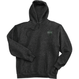 Lansing Spartans Ultimate Cotton - Pullover Hooded Sweatshirt